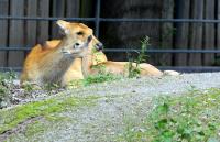IMG_2982-11.jpg