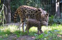 IMG_5889-11.jpg