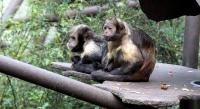 IMG_6903-11.jpg