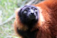 IMG_6965-11.jpg