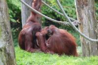 IMG_7308-11.jpg