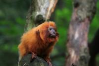 IMG_7506-11.jpg