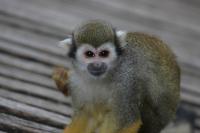 IMG_7542-11.jpg