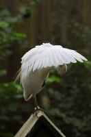 IMG_7628-11.jpg