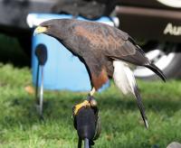 IMG_92201.jpg