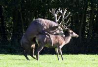 IMG_95111.jpg