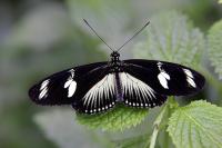 IMG_0189-11.jpg