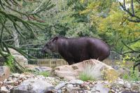 IMG_0273-11.jpg