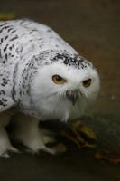 IMG_0317-11.jpg