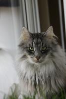 Fotos von Erik und Eddie