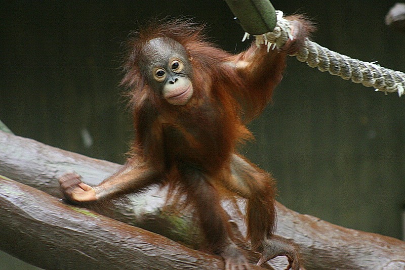 sungai-1.jpg