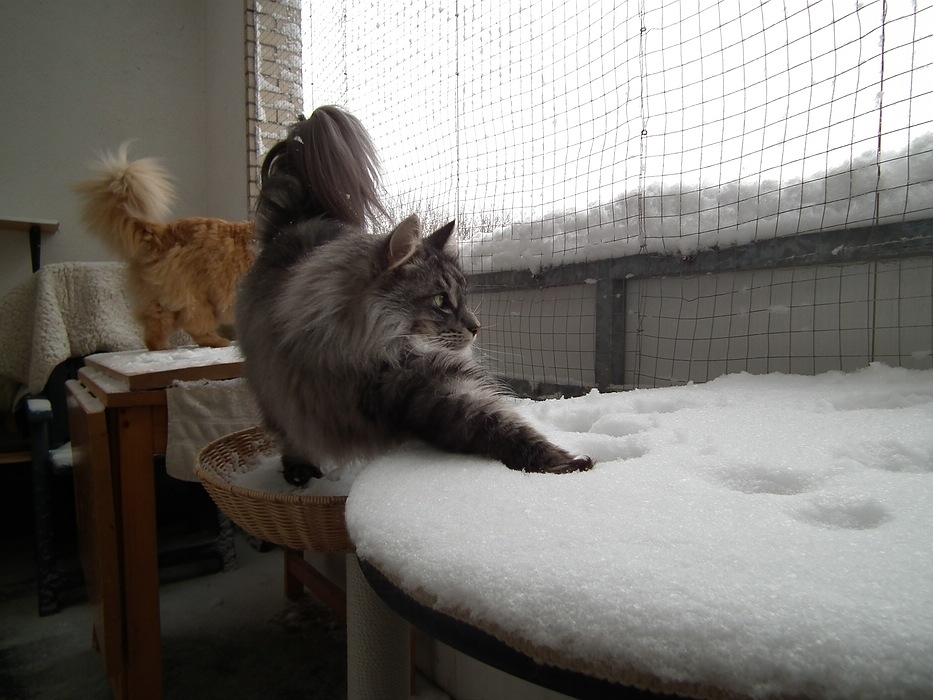 DSCF06921.jpg