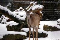 IMG_4117-11.jpg