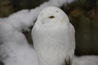 IMG_4683-11.jpg