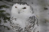 IMG_4686-11.jpg