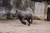 Krefelder Zoo Januar 2011