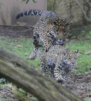 IMG_6820-11.jpg