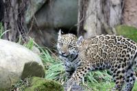 IMG_7437-11.jpg