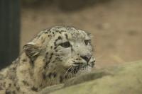 IMG_8189-11.jpg