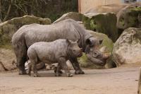 IMG_8220-11.jpg