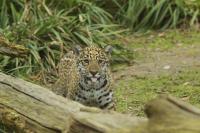 IMG_8269-11.jpg