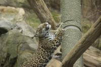 IMG_8296-11.jpg