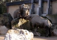 IMG_8551-11.jpg