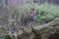 IMG_1580-11.jpg