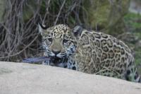 IMG_1704-11.jpg