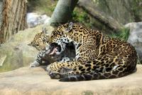 IMG_4163-11.jpg