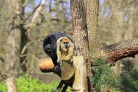IMG_6075-1.jpg