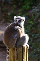 IMG_7147-1.jpg