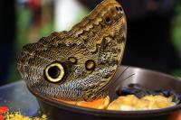 Krefelder Zoo April 2011 