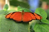 IMG_5373-1.jpg