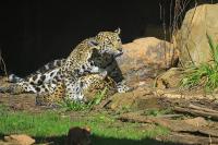 IMG_5609-1.jpg