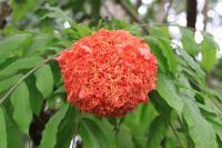 IMG_5806-1.jpg