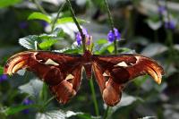 IMG_2407-11.jpg
