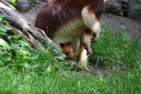 IMG_2644-11.jpg