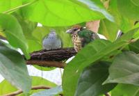 IMG_3429-11.jpg