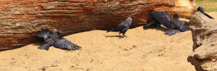 IMG_3814-11.jpg