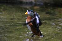 IMG_4270-11.jpg
