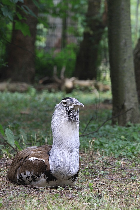 IMG_4563-11.jpg