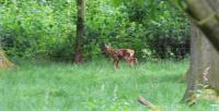 IMG_5510-11.jpg