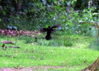 IMG_5595-11.jpg
