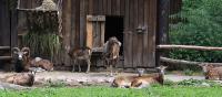 IMG_7025-11.jpg