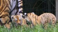 IMG_7084-11.jpg