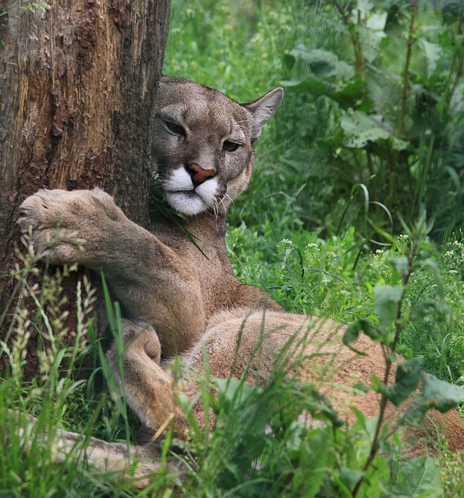 IMG_7222-11.jpg