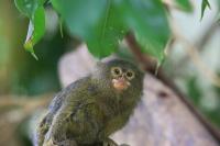 IMG_2211-11.jpg