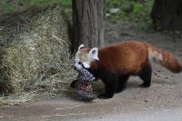 IMG_5397-11.jpg