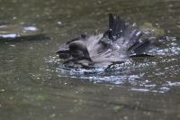 IMG_5778-11.jpg